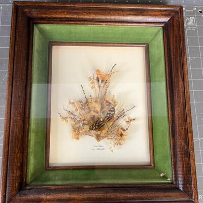 Dried Flower and Butterfly in a Frame