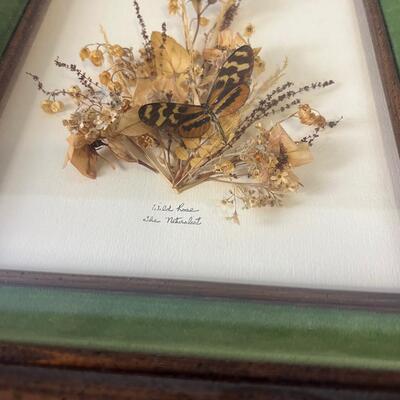 Dried Flower and Butterfly in a Frame