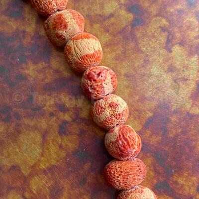 Sponge Coral Bead Choker