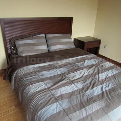 queen dark slatted wood platform bed