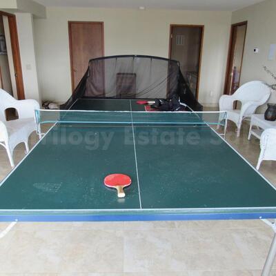 Porter ping pong table