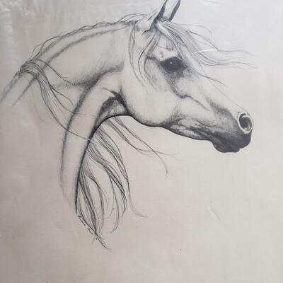 Horse drawing numbered of 200