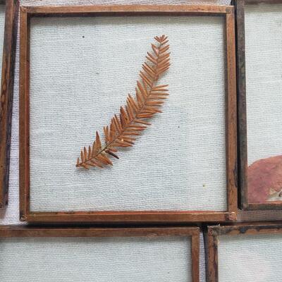 Glass and copper in case leaves