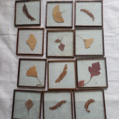 Glass and copper in case leaves