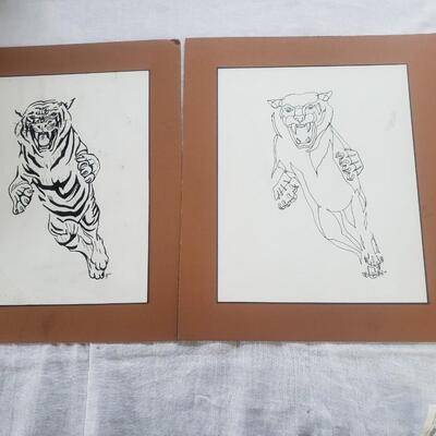 Bengal tiger drawings