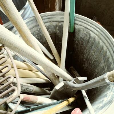 Assortment of Cleaning Supplies