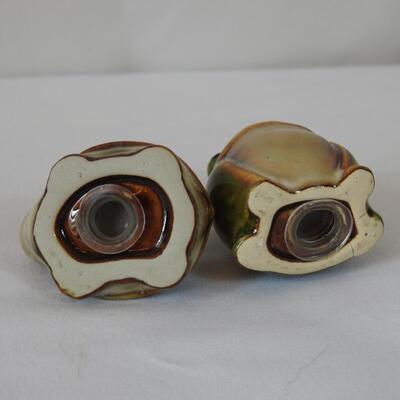 Salt and Pepper Shakers Frog and Turtle