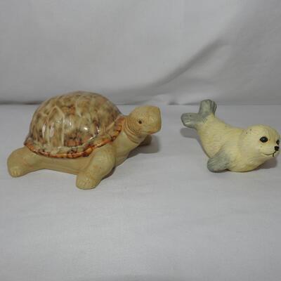 Turtle and seal