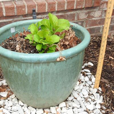 Outdoor terra-cotta pot