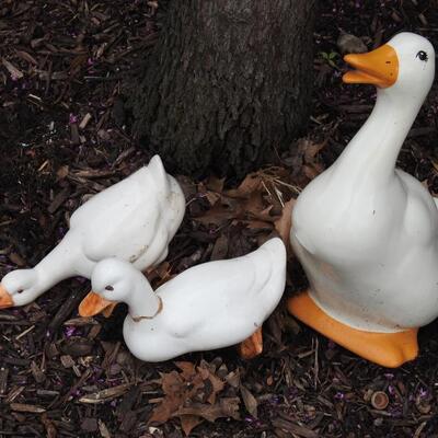 Ceramic ducks
