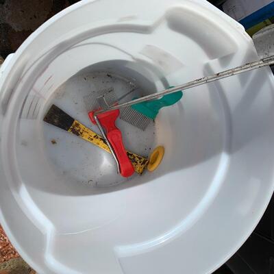 Honey Extractor equipment