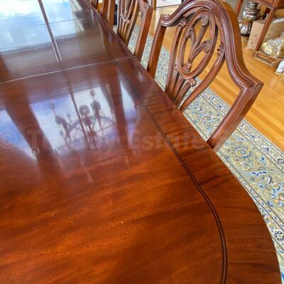 Century Dining table with 10 Century Chairs