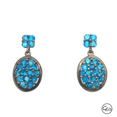 Sterling Blue Stone Earrings