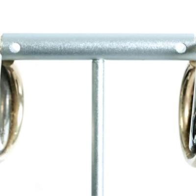 10k/Sterling Two Tone Double Hoop Earrings