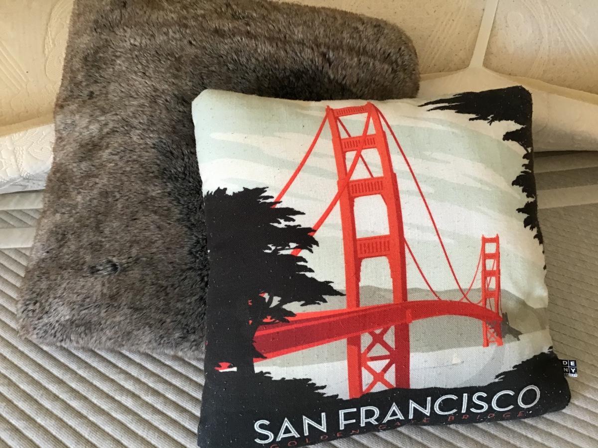 WB247 Faux Fur & San Francisco Pillows
