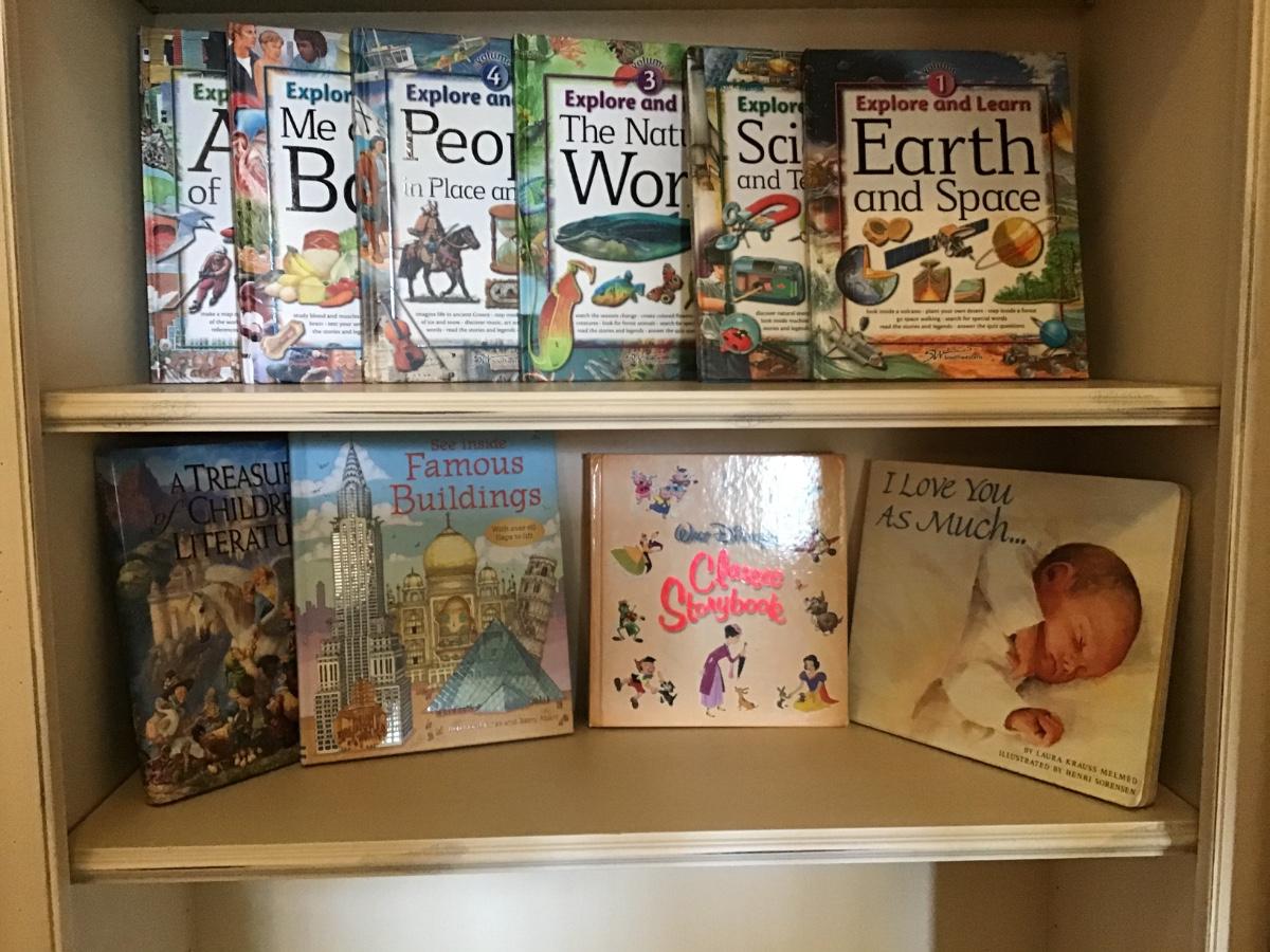 WB251 Children’s Book Lot 2