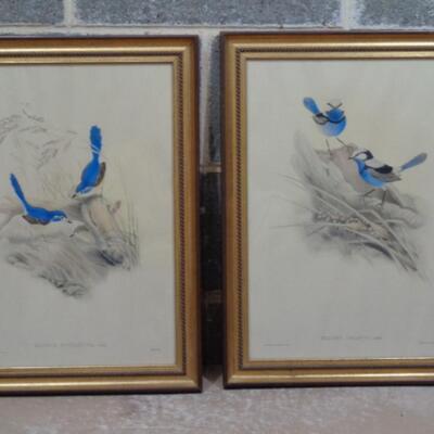2 Sets of Warblers Elizabeth Gould