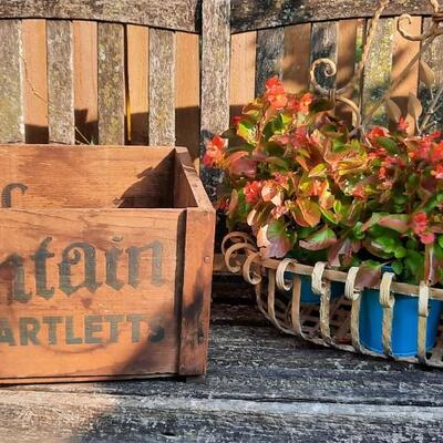 Antique California Pear Wooden Crate