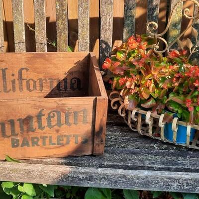 Antique California Pear Wooden Crate