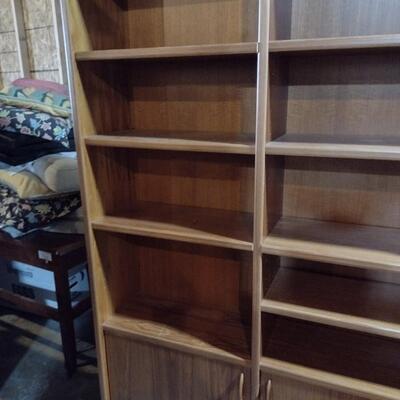Bookcase with Shelves and Storage Cabinet