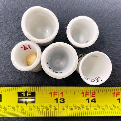 THIMBLE BUNDLE #34 - SONG BIRDS
