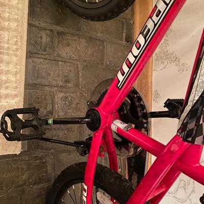 BMX kids bike 20â€ wheels