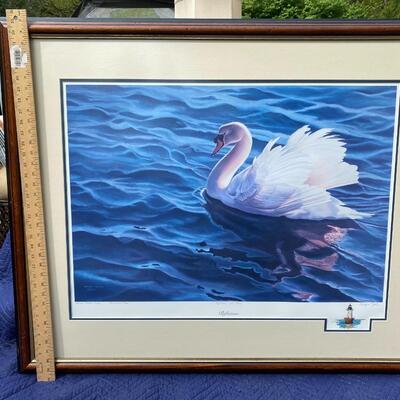 F Wayne Taylor â€œReflectionsâ€