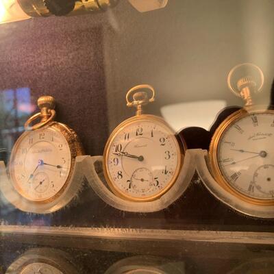 Antique pocket watch collection