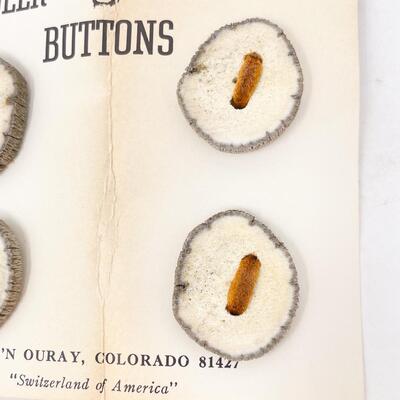 DEER HORN BUTTONS  - MADE IN OURAY, COLORADO