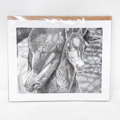 â€œSNUGGLESâ€ BY GLEN POWELL HORSE ART PRINT