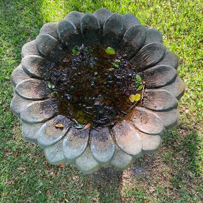 Cement birdbath, sunflower shaped