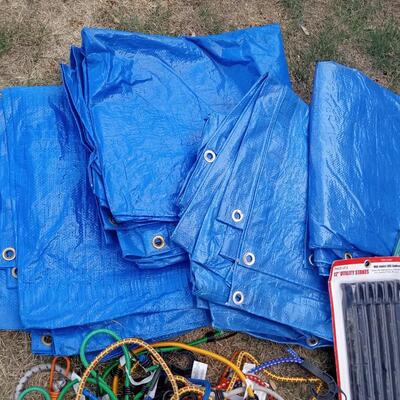 LOT 109  FIVE TARPS, BUNGEE CORDS, STAKES AND MORE
