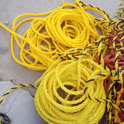 LOT 113  VARIETY OF ROPE AND TWINE