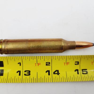 .264 WIN MAG BULLETS