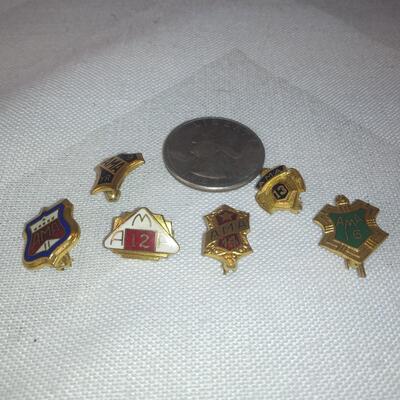 AMA Vintage Pins - Lot 4