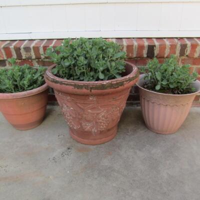 Set of 3 Hard Plastic Large Planters with Live Plants