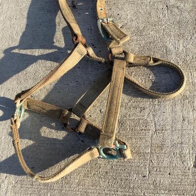 Bridles