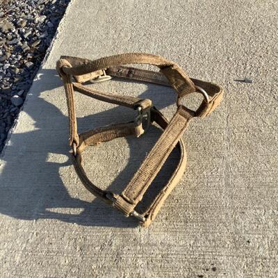 Bridles