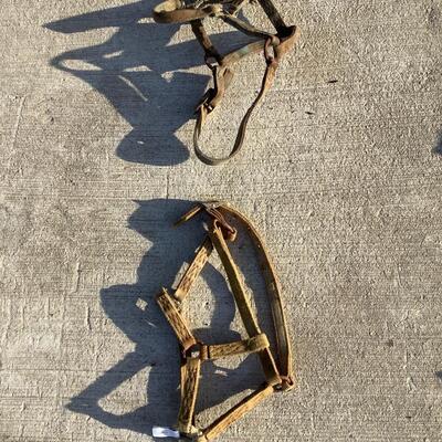 Bridles