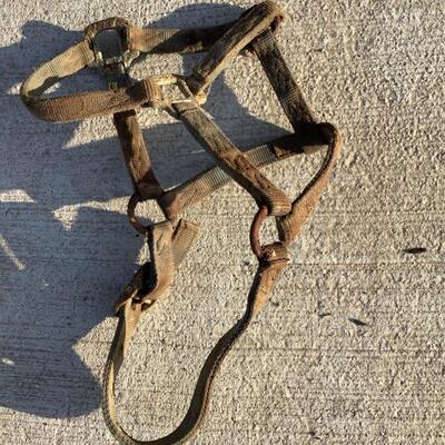 Bridles