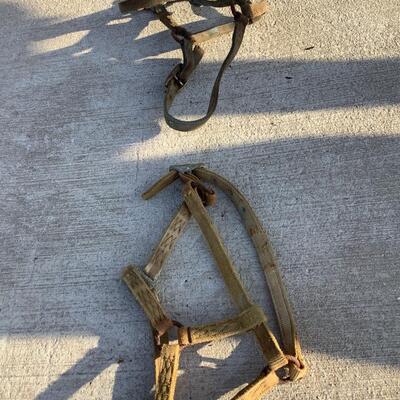 Bridles