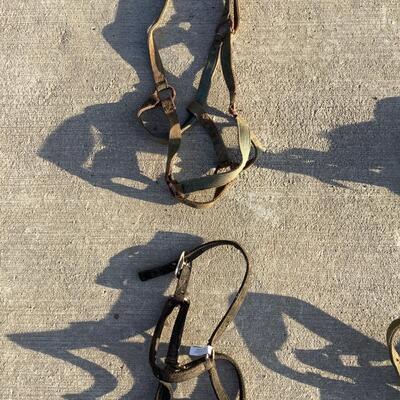 Bridles
