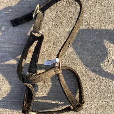 Bridles