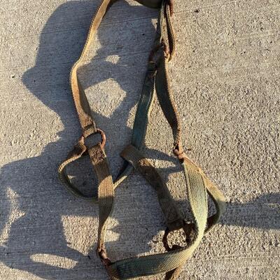 Bridles