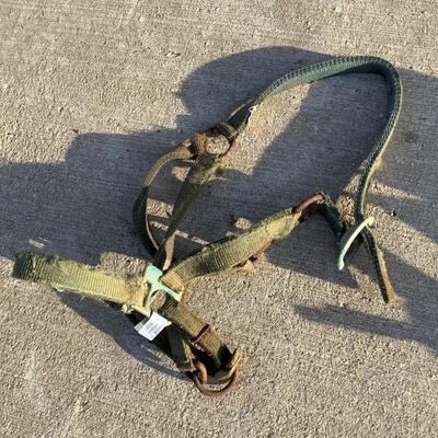 Bridles