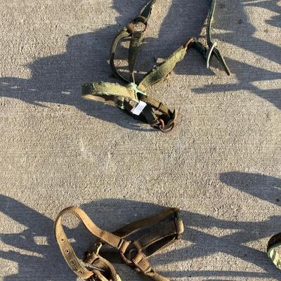 Bridles