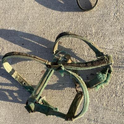 Bridles