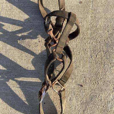 Bridles