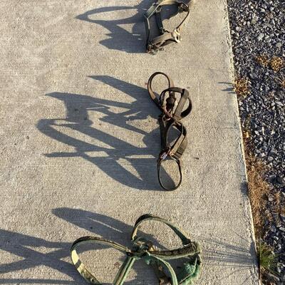 Bridles