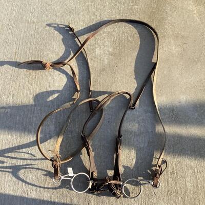 Horse Tack